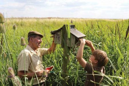 Father and Son Building Bird Box